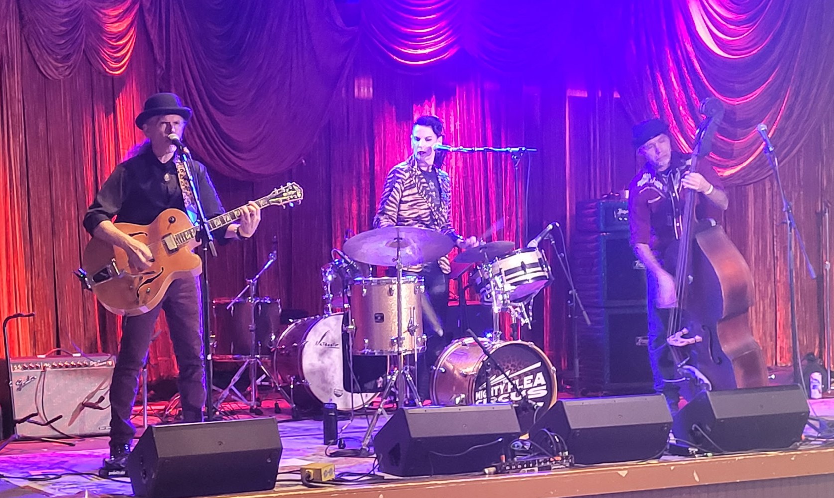 Mighty Flea Circus Video Clip