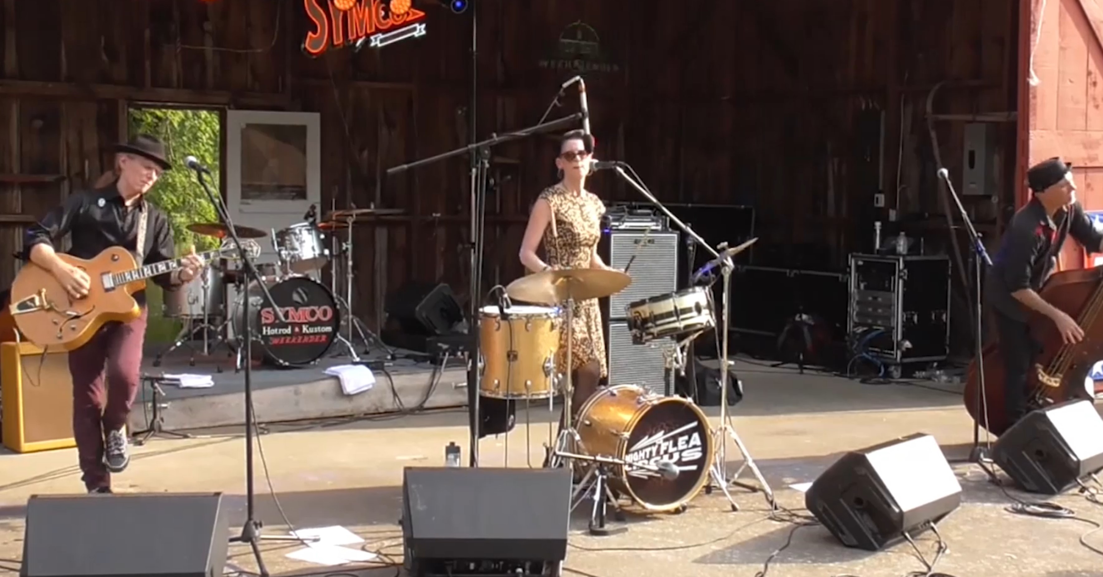 Mighty Flea Circus Video Clip